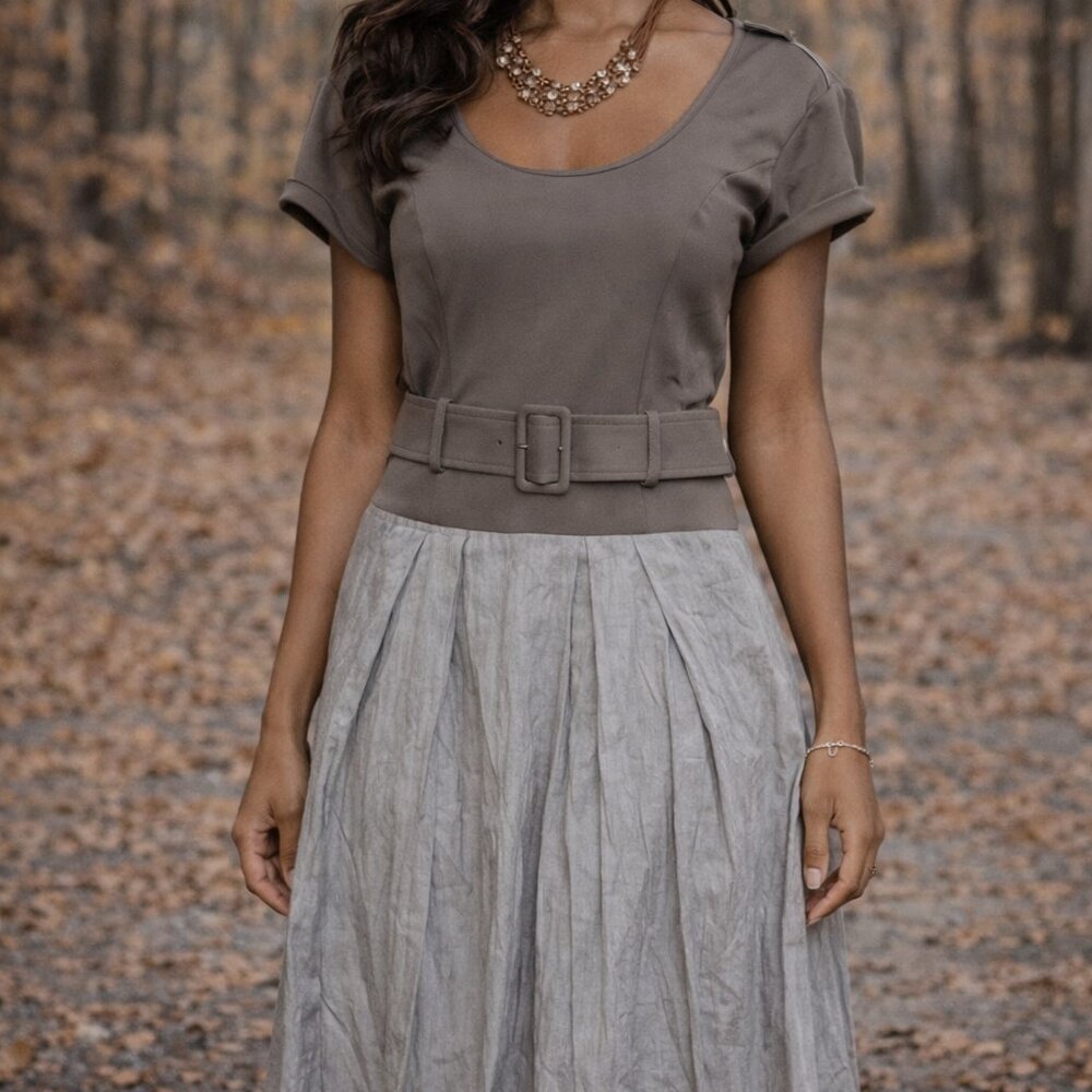 Rachel Roy Taupe & Gray Midi Dress | Belted Workwear Dress | Size 2 | Office